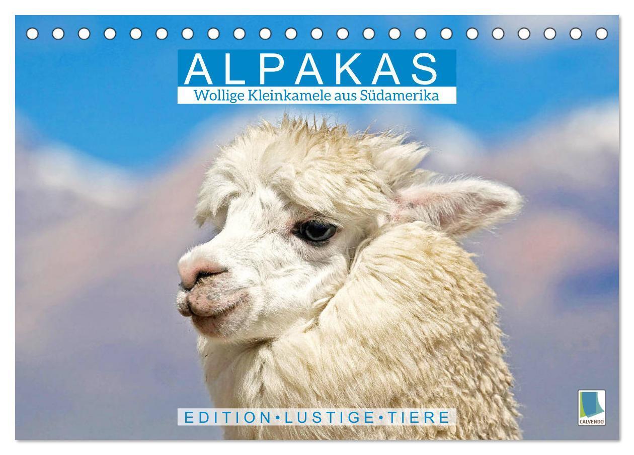 Cover: 9783435140954 | Alpakas: Wollige Kleinkamele aus Südamerika - Edition lustige Tiere...