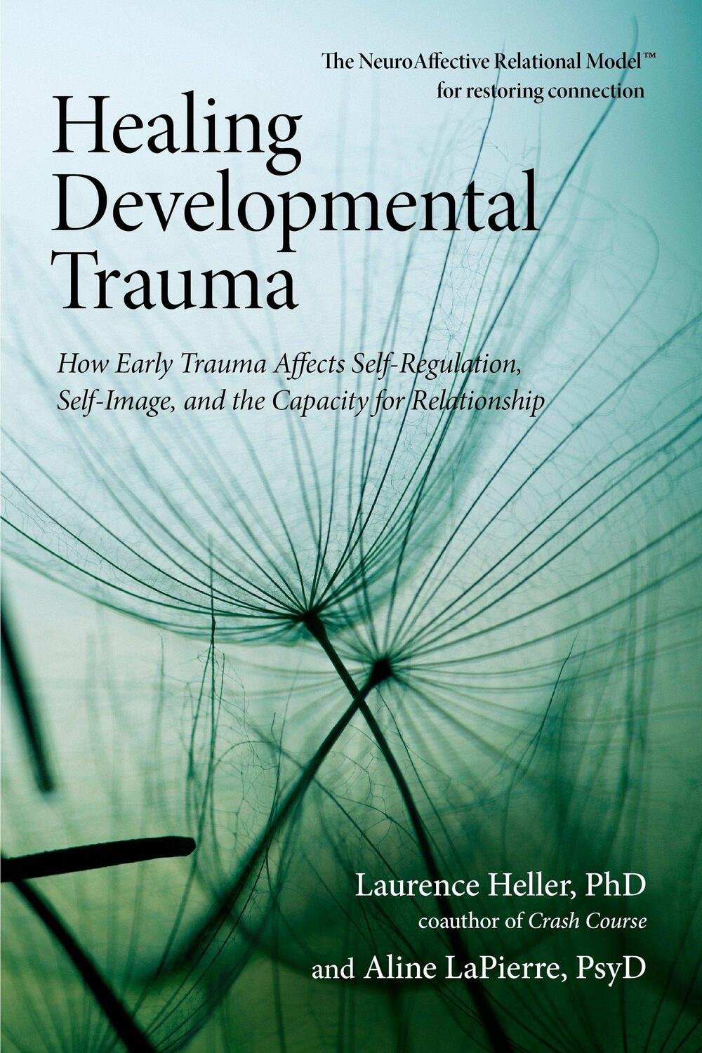 Cover: 9781583944899 | Healing Developmental Trauma: How Early Trauma Affects...