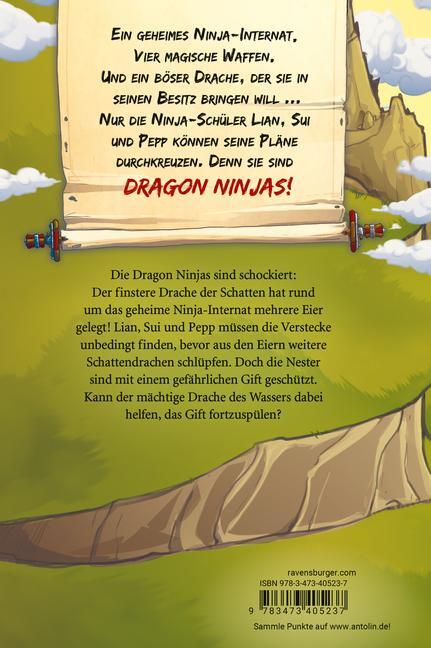 Bild: 9783473405237 | Dragon Ninjas, Band 6: Der Drache des Wassers (drachenstarkes...
