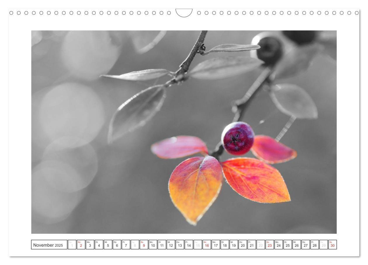 Bild: 9783435730698 | Natur schwarz - weiß Malerei (Wandkalender 2025 DIN A3 quer),...