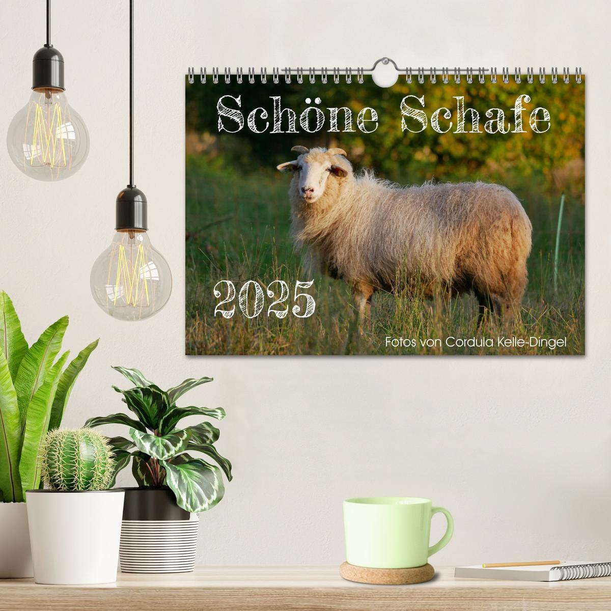 Bild: 9783435172689 | Schöne Schafe (Wandkalender 2025 DIN A4 quer), CALVENDO Monatskalender