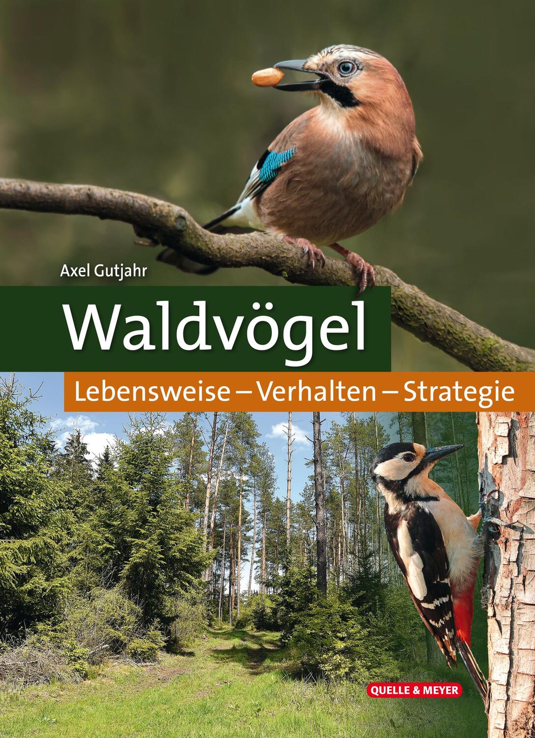 Cover: 9783494018201 | Waldvögel | Lebensweise - Verhalten - Strategie | Axel Gutjahr | Buch
