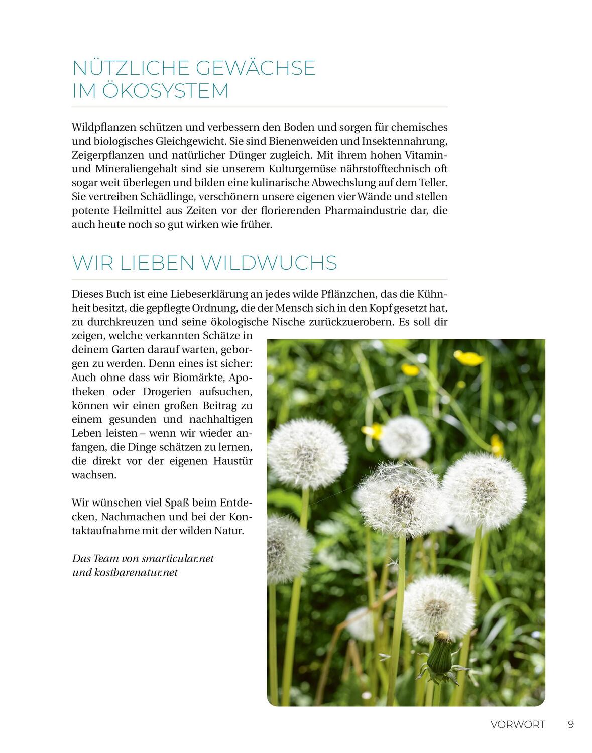 Bild: 9783910801103 | Geliebtes Unkraut | smarticular Verlag | Taschenbuch | Kostbare Natur