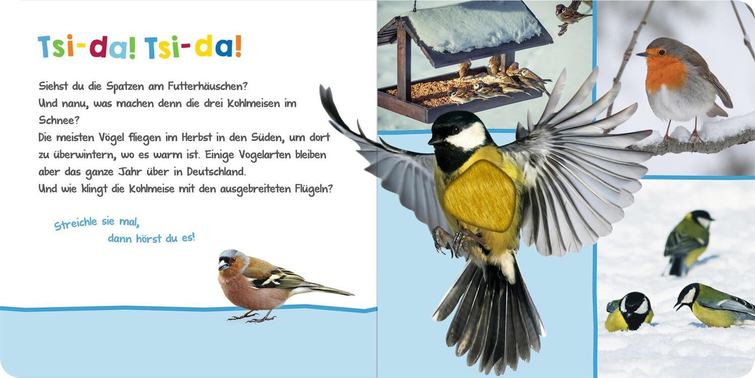 Bild: 9783845844961 | Hör mal rein, wer kann das sein? - Winter im Wald | Buch | 12 S.