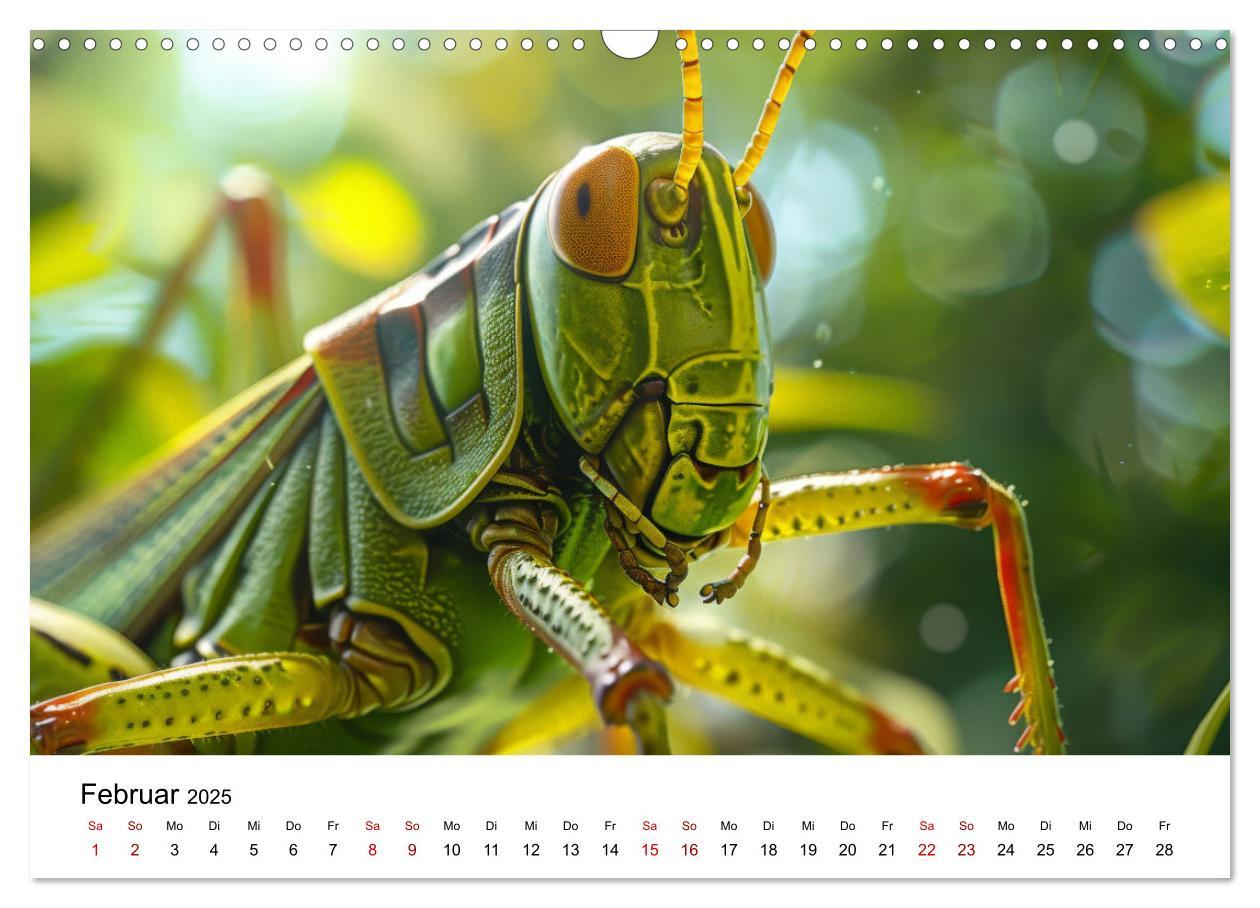 Bild: 9783383799754 | Insekten hautnah (Wandkalender 2025 DIN A3 quer), CALVENDO...