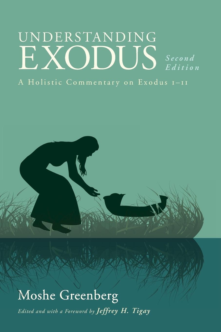 Cover: 9781620327326 | Understanding Exodus | A Holistic Commentary on Exodus 1-11 | Buch