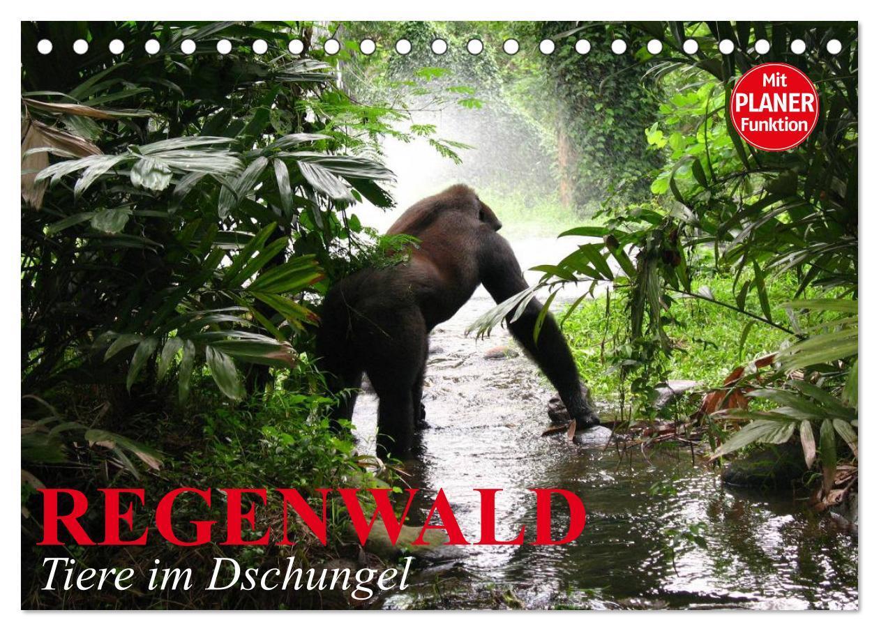 Cover: 9783383309144 | Regenwald. Tiere im Dschungel (Tischkalender 2024 DIN A5 quer),...