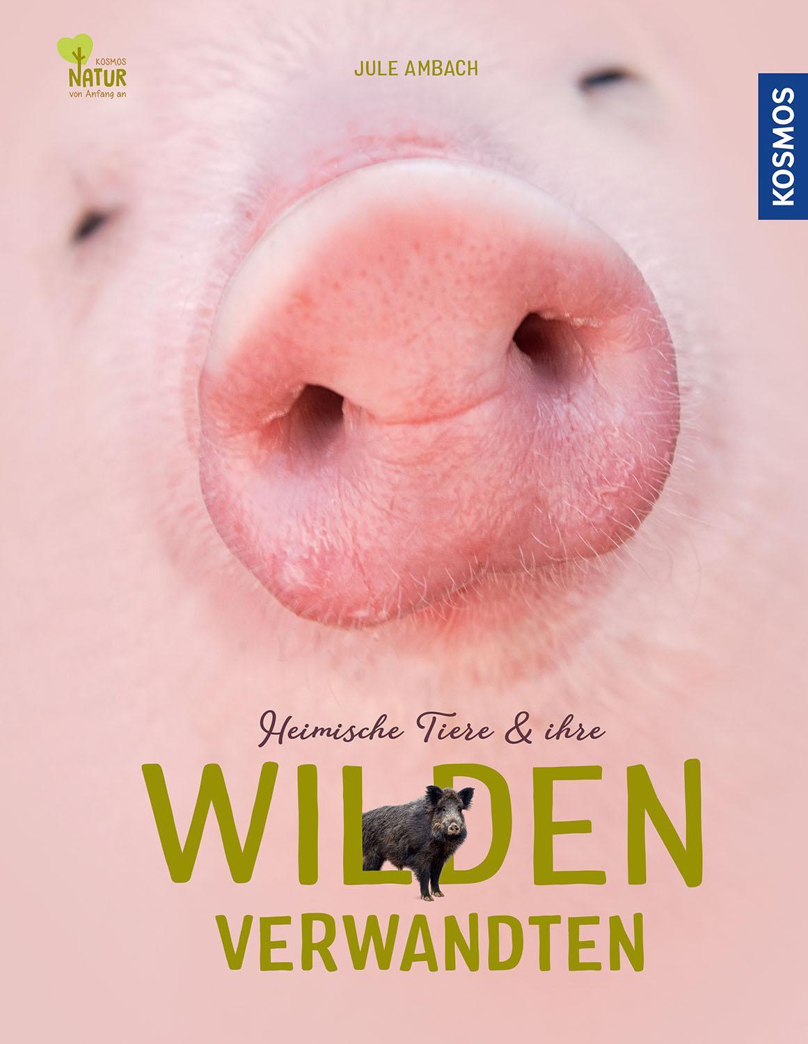 Cover: 9783440172629 | Heimische Tiere und ihre wilden Verwandten | Jule Ambach | Buch | 2022