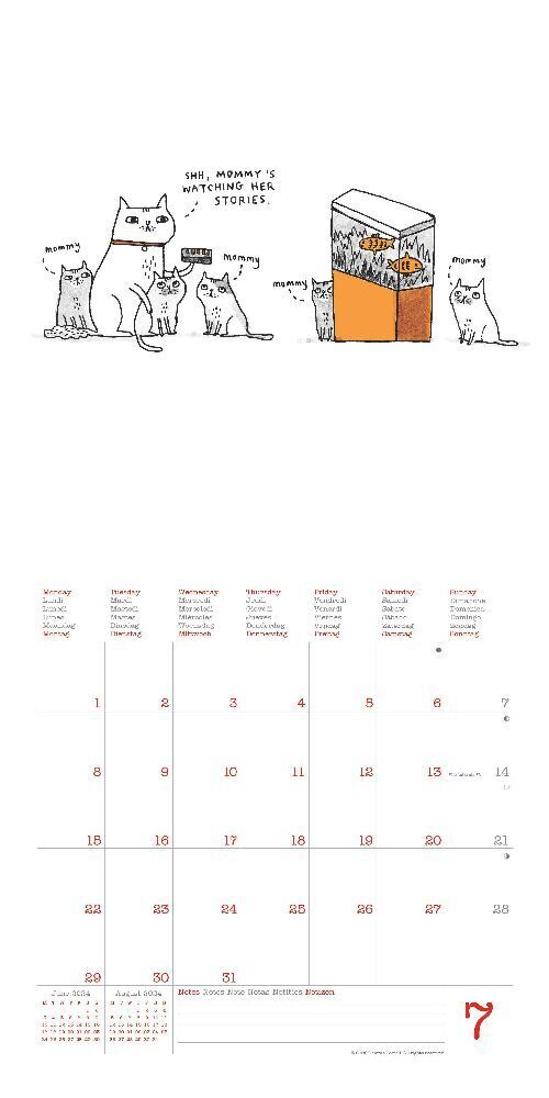 Bild: 4002725986900 | A Cat's Life 2024 - Wand-Kalender - Broschüren-Kalender - 30x30 -...