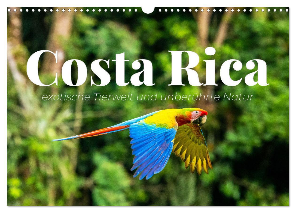Cover: 9783675435575 | Costa Rica - exotische Tierwelt und unberührte Natur (Wandkalender...