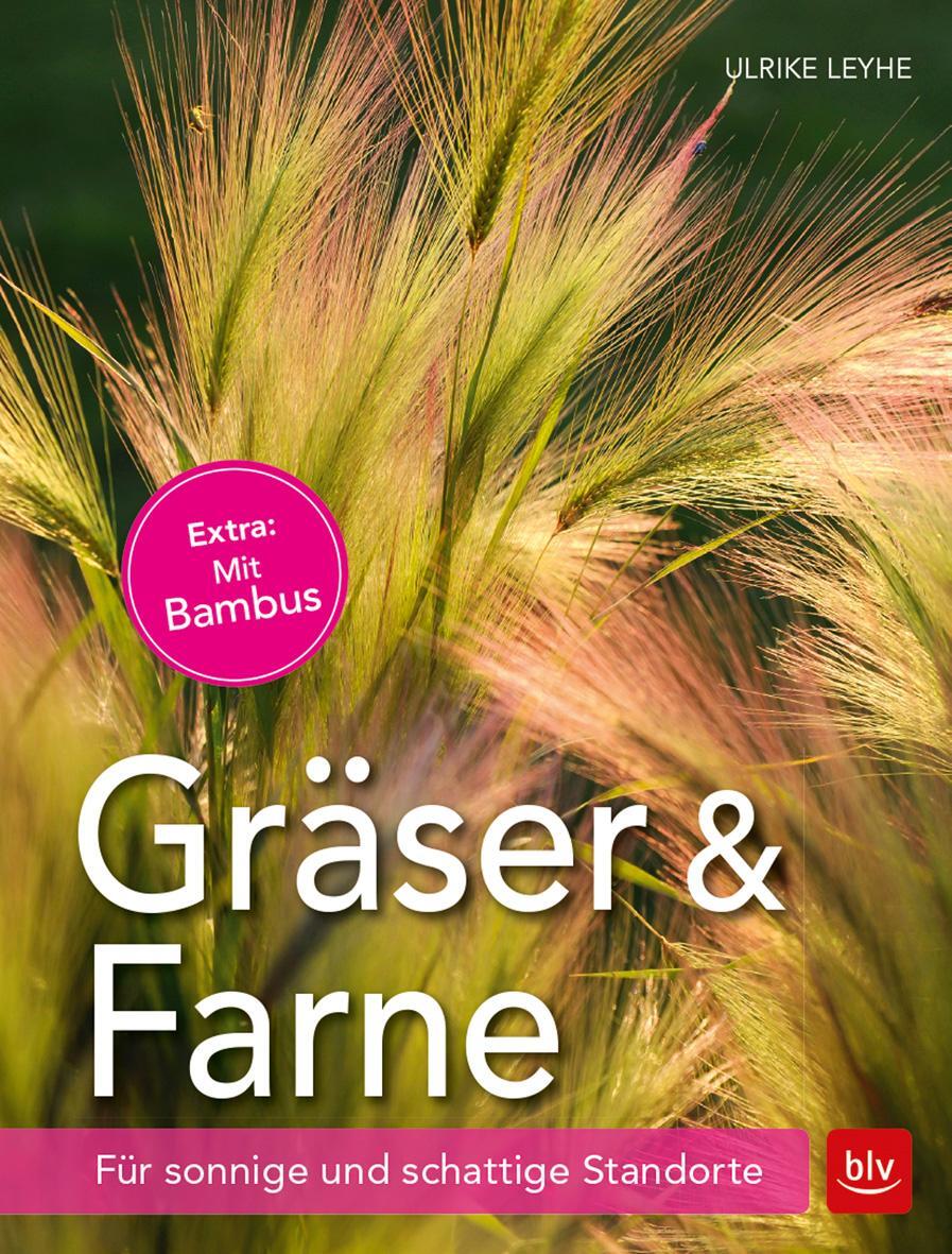 Cover: 9783835417120 | Gräser und Farne | Für sonnige und schattige Standorte | Ulrike Leyhe