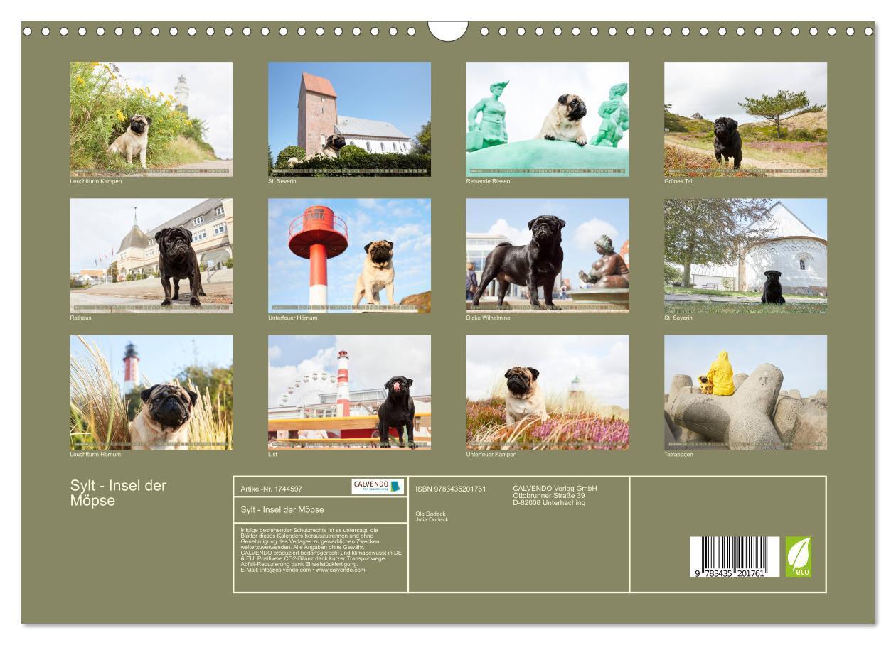 Bild: 9783435201761 | Sylt - Insel der Möpse (Wandkalender 2025 DIN A3 quer), CALVENDO...