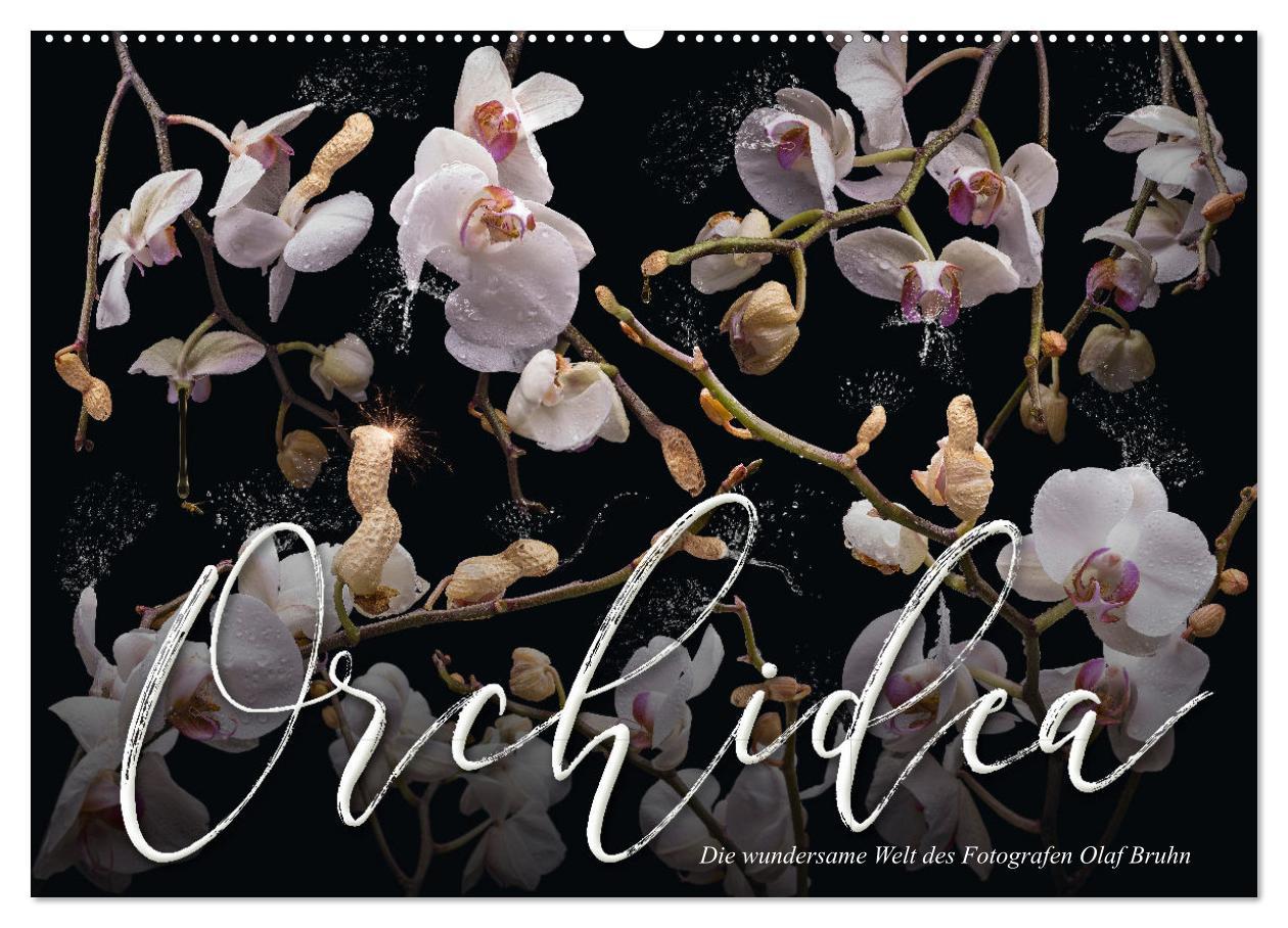 Cover: 9783383853258 | Orchidea (Wandkalender 2025 DIN A2 quer), CALVENDO Monatskalender