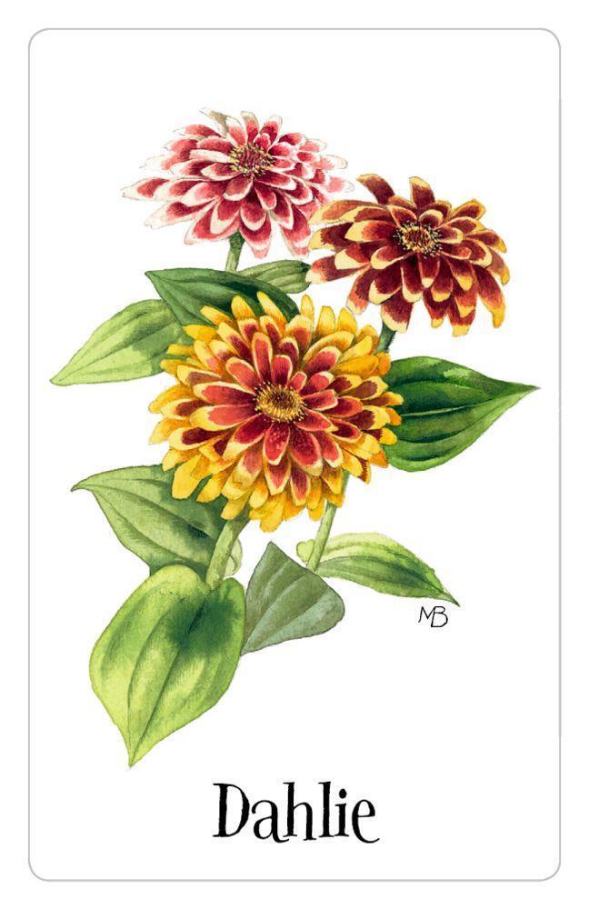 Bild: 4050003948164 | Schachtelspiel - Zauberhaftes Blumen-Memo (M. Bastin) | Stück | 2018
