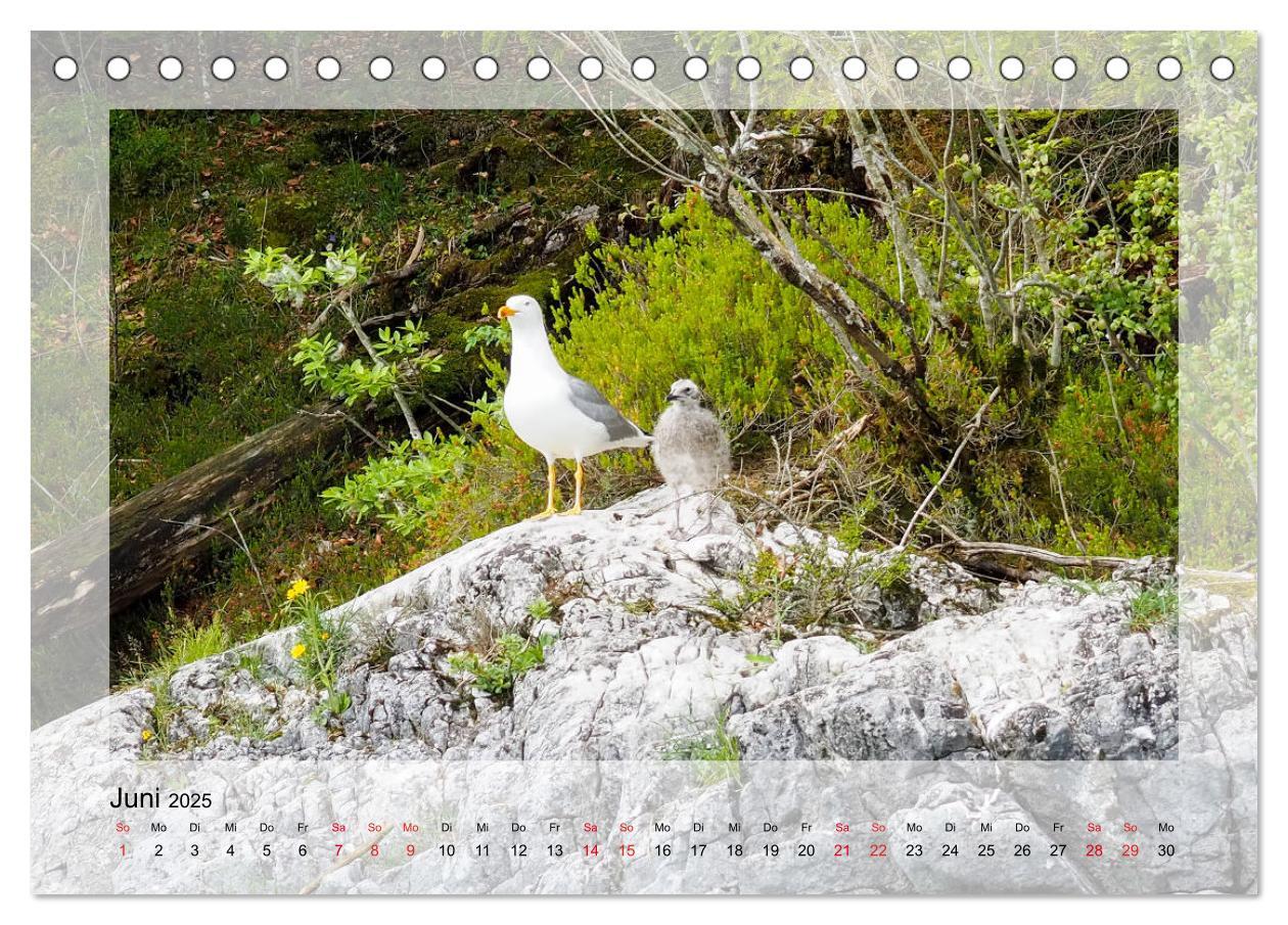 Bild: 9783435177776 | Walchensee (Tischkalender 2025 DIN A5 quer), CALVENDO Monatskalender