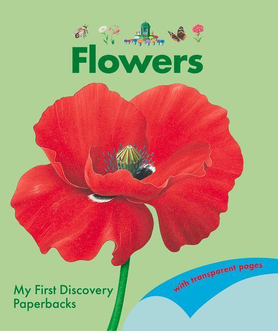 Cover: 9781851037575 | Flowers | Taschenbuch | My First Discovery Paperbacks | 32 S. | 2023