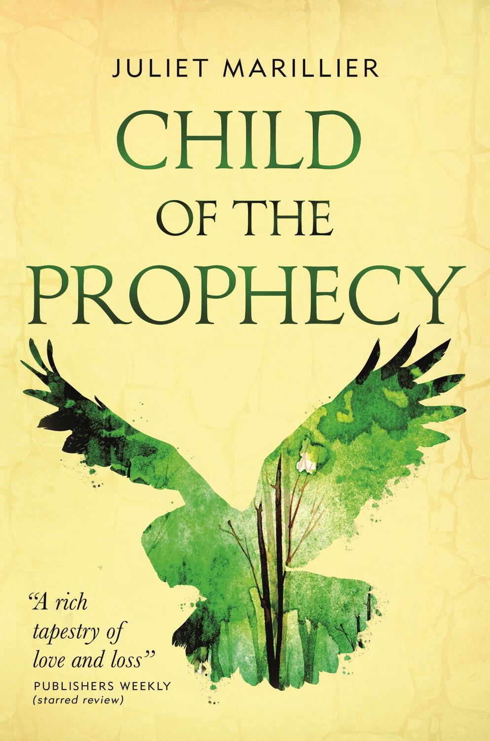 Cover: 9781250238689 | Child of the Prophecy | Book Three of the Sevenwaters Trilogy | Buch