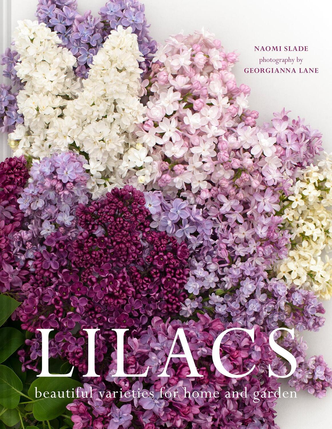 Cover: 9781911663966 | Lilacs | Beautiful varieties for home and garden | Naomi Slade (u. a.)