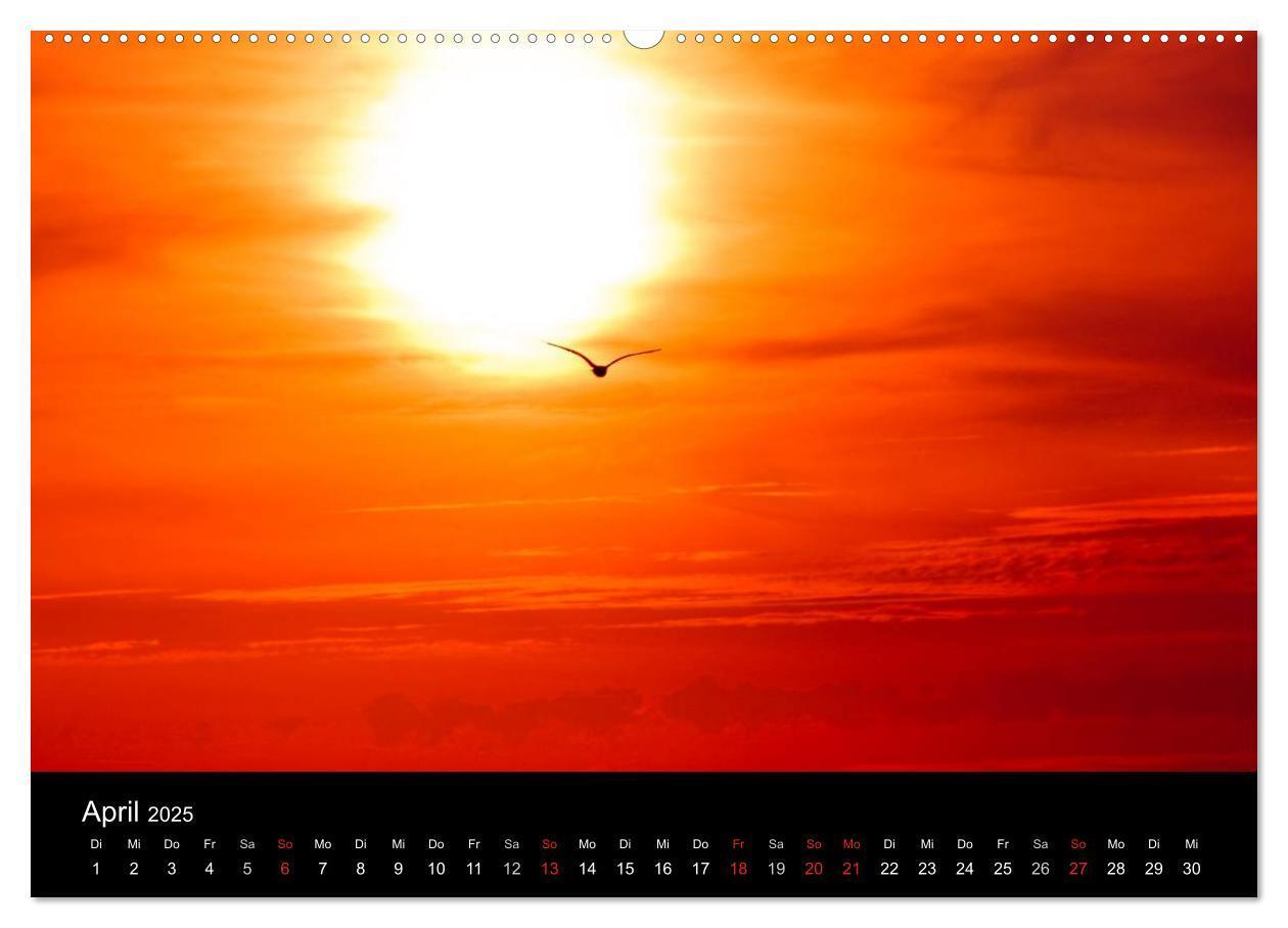 Bild: 9783435767946 | Dänemarks Nordseeküste (Wandkalender 2025 DIN A2 quer), CALVENDO...