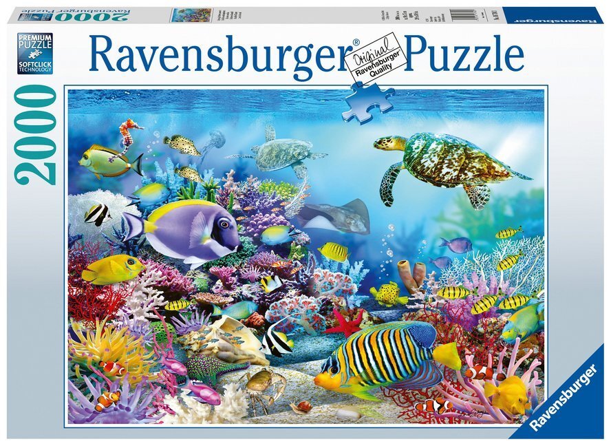 Cover: 4005556167043 | Lebendige Unterwasserwelt (Puzzle) | Spiel | In Spielebox | 16704