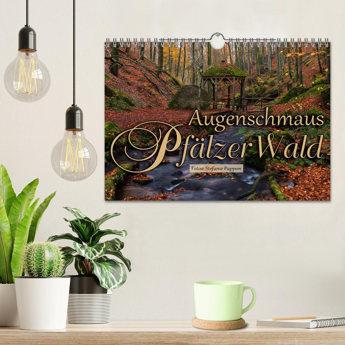 Bild: 9783435149964 | Augenschmaus Pfälzer Wald (Wandkalender 2025 DIN A4 quer), CALVENDO...