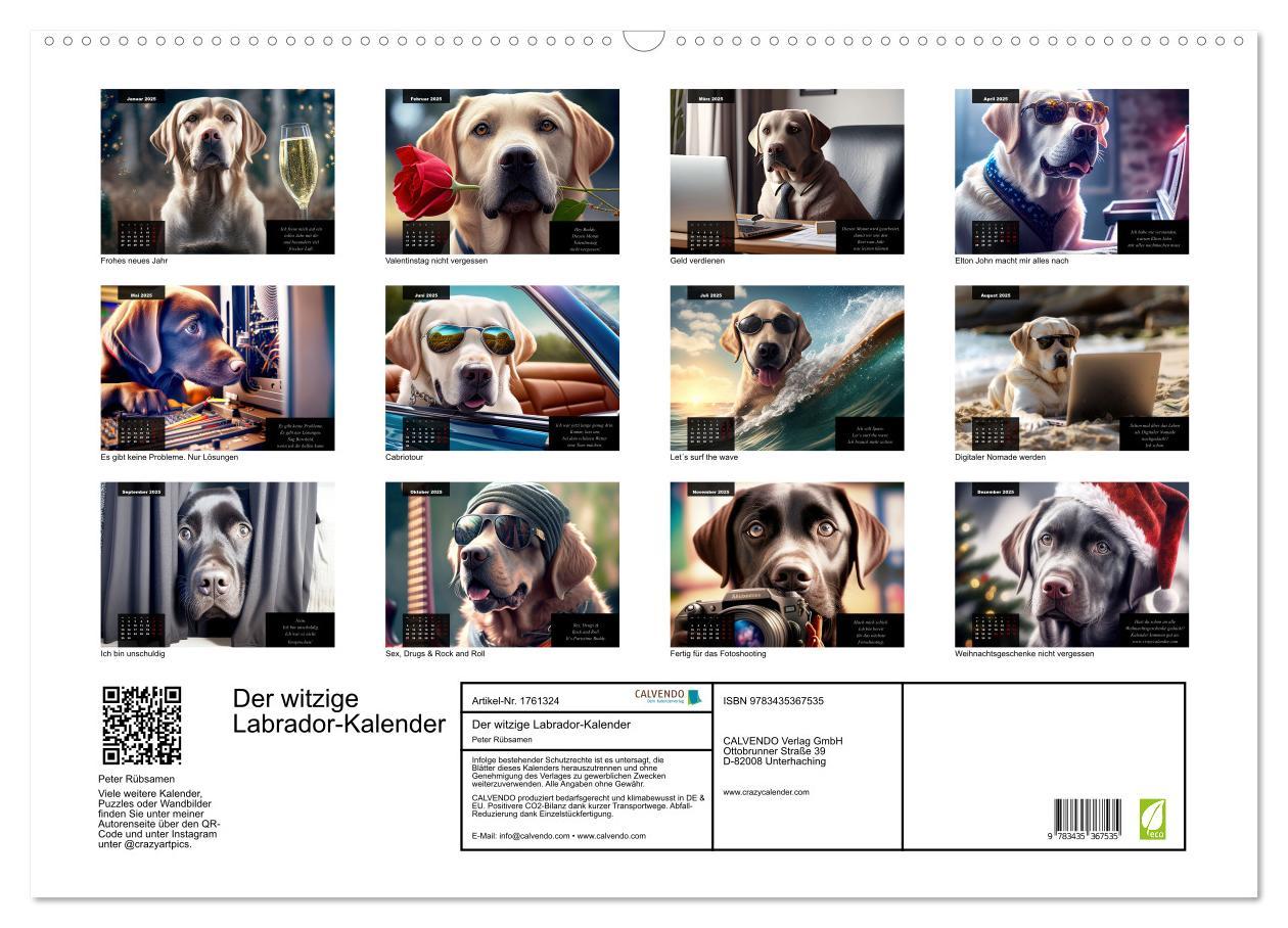 Bild: 9783435367535 | Der witzige Labrador-Kalender (Wandkalender 2025 DIN A2 quer),...