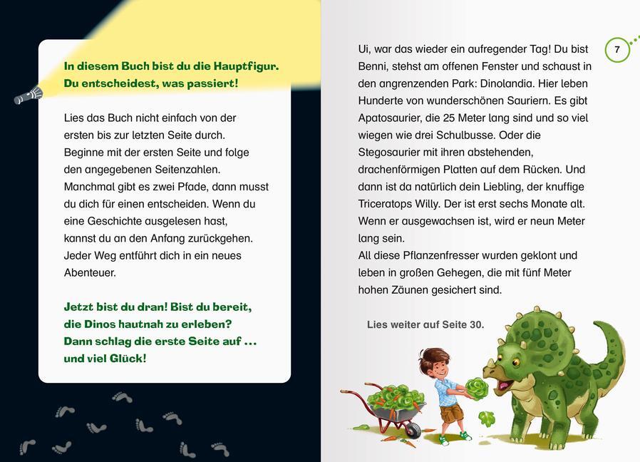 Bild: 9783473460496 | 1000 Gefahren junior - Böses Spiel im Dinopark | Fabian Lenk | Buch