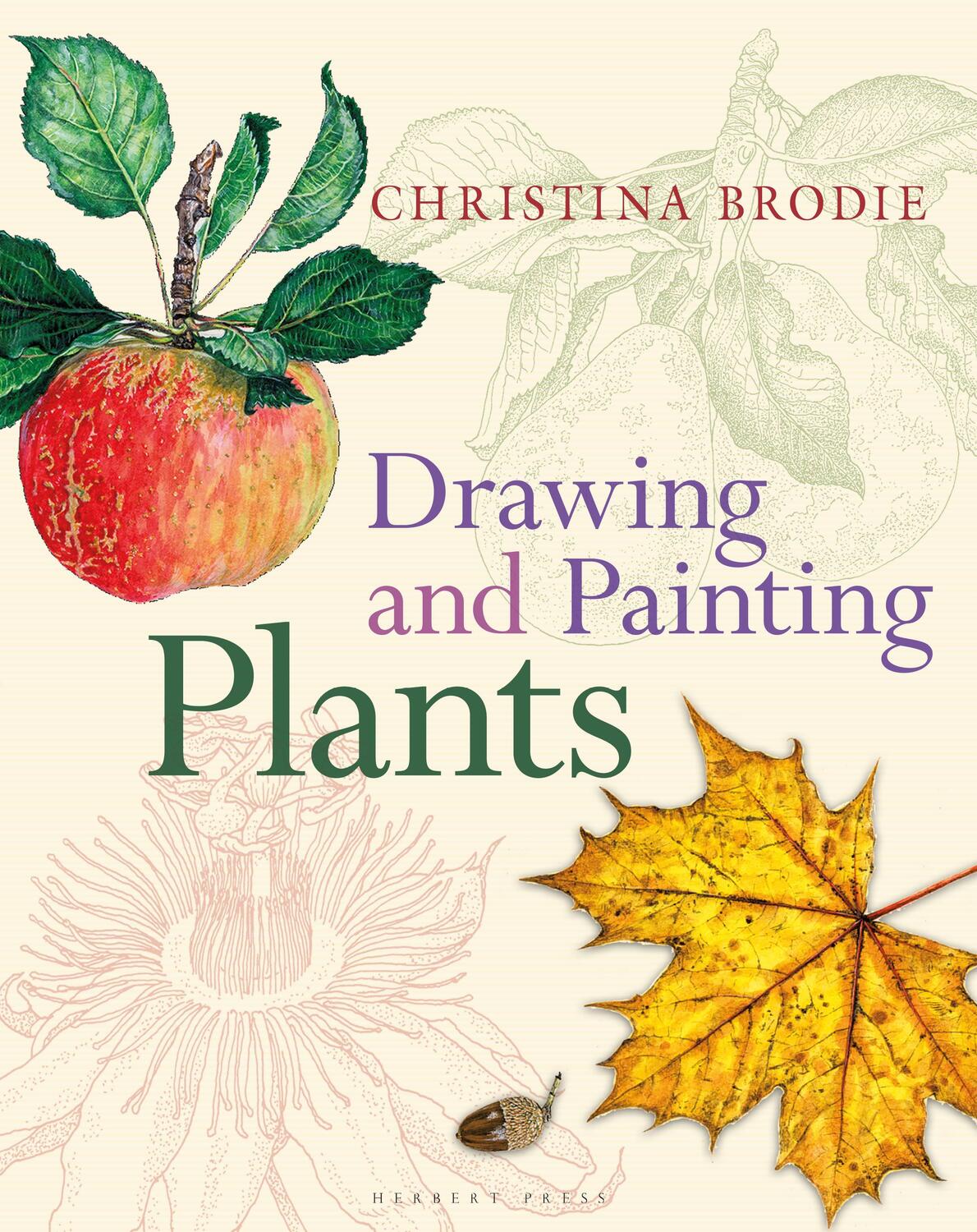Cover: 9781789940657 | Drawing and Painting Plants | Christina Brodie | Taschenbuch | 2021
