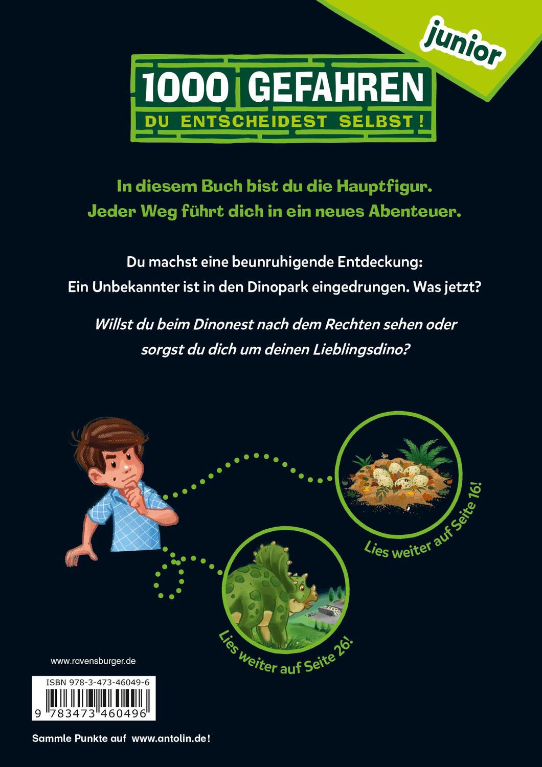 Rückseite: 9783473460496 | 1000 Gefahren junior - Böses Spiel im Dinopark | Fabian Lenk | Buch