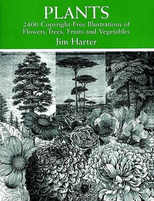 Cover: 9780486402642 | Plants | 2400 Designs | Jim Harter | Taschenbuch | Englisch | 1998