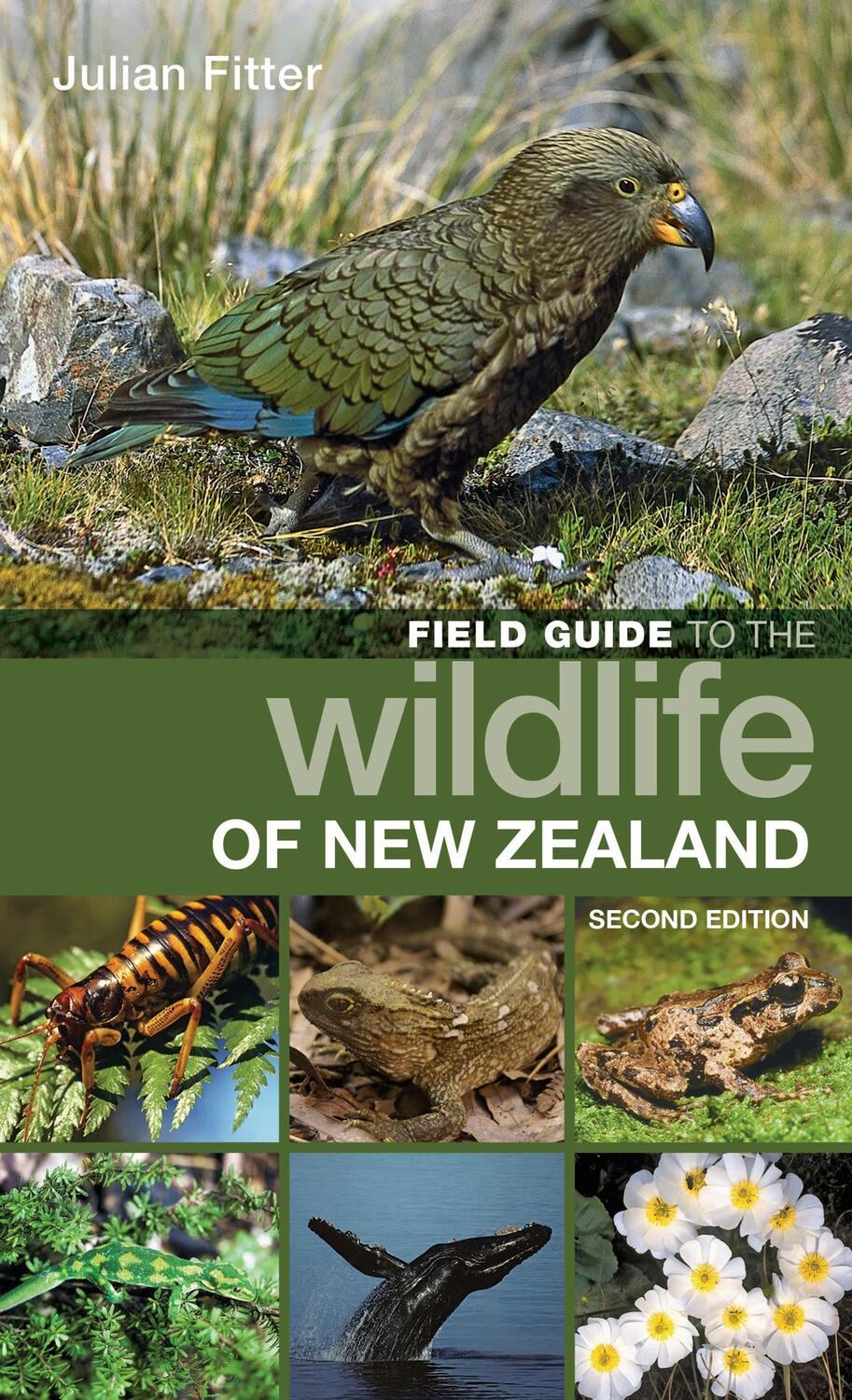 Cover: 9781472981271 | Field Guide to the Wildlife of New Zealand | Julian Fitter | Buch