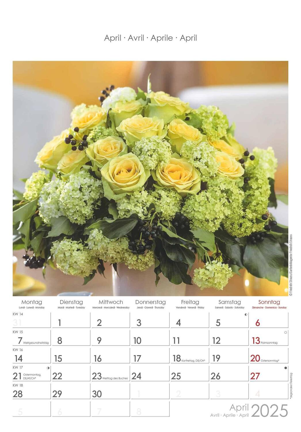 Bild: 4251732340995 | Rosenträume 2025 - Bildkalender 23,7x34 cm - Kalender mit Platz für...