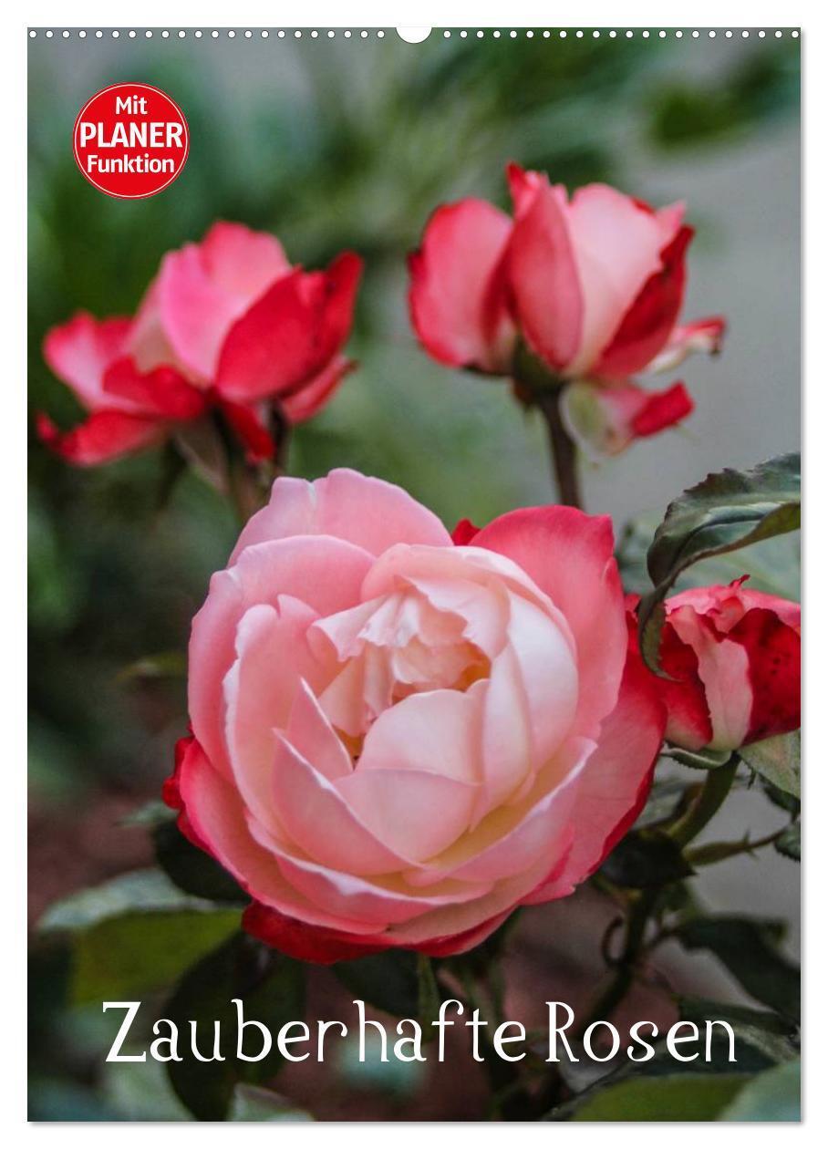 Cover: 9783383325793 | Zauberhafte Rosen (Wandkalender 2024 DIN A2 hoch), CALVENDO...