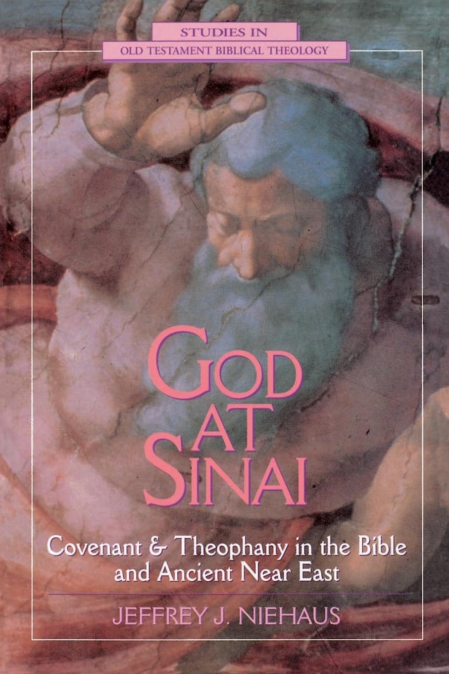 Cover: 9780310494713 | God at Sinai | Jeffrey J. Niehaus (u. a.) | Taschenbuch | Paperback