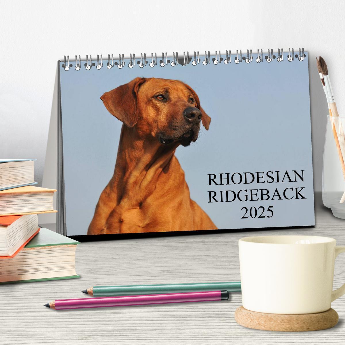 Bild: 9783435758890 | Rhodesian Ridgeback 2025 (Tischkalender 2025 DIN A5 quer), CALVENDO...