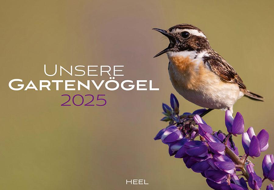 Cover: 9783966648370 | Unsere Gartenvögel Kalender 2025 | Kalender | 14 S. | Deutsch | 2025