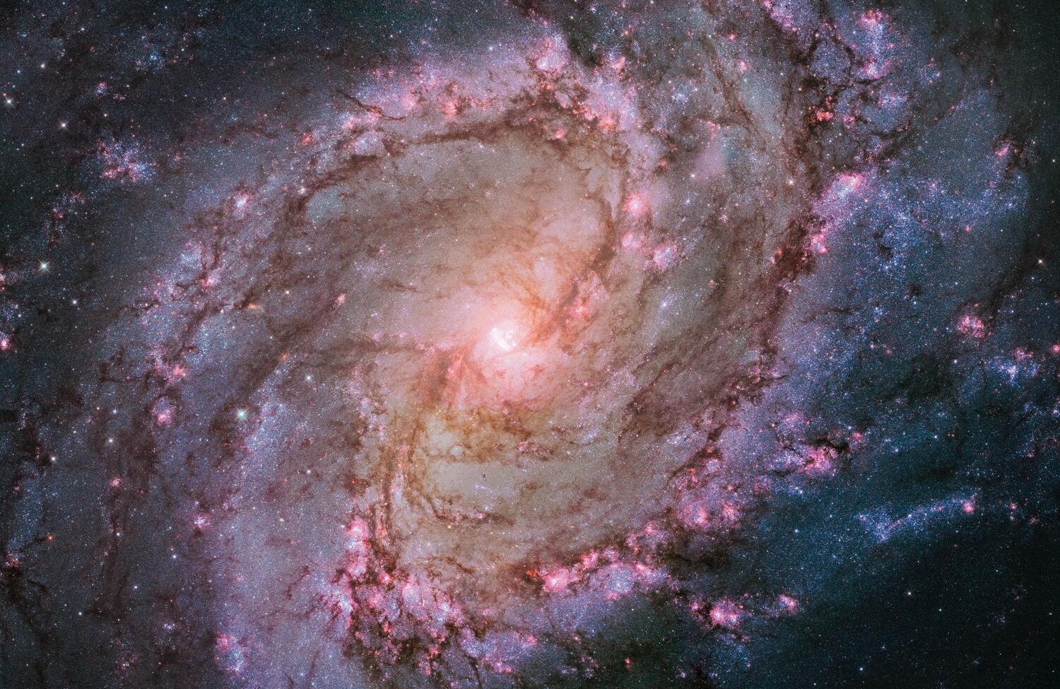 Bild: 9783836583633 | Expanding Universe. The Hubble Space Telescope | Bolden (u. a.) | Buch