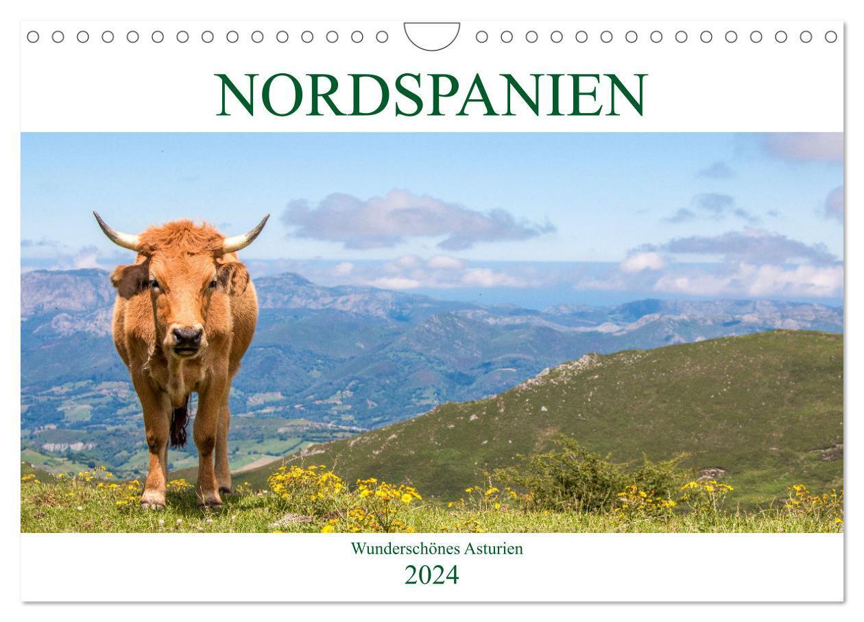 Cover: 9783675737648 | Nordspanien - Wunderschönes Asturien (Wandkalender 2024 DIN A4...