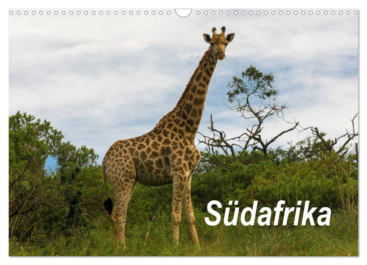 Cover: 9783435838714 | Südafrika (Wandkalender 2025 DIN A3 quer), CALVENDO Monatskalender