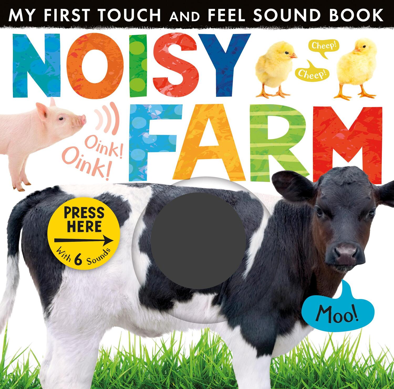 Cover: 9781848956995 | Noisy Farm | Little Tiger Press | Buch | Englisch | 2013