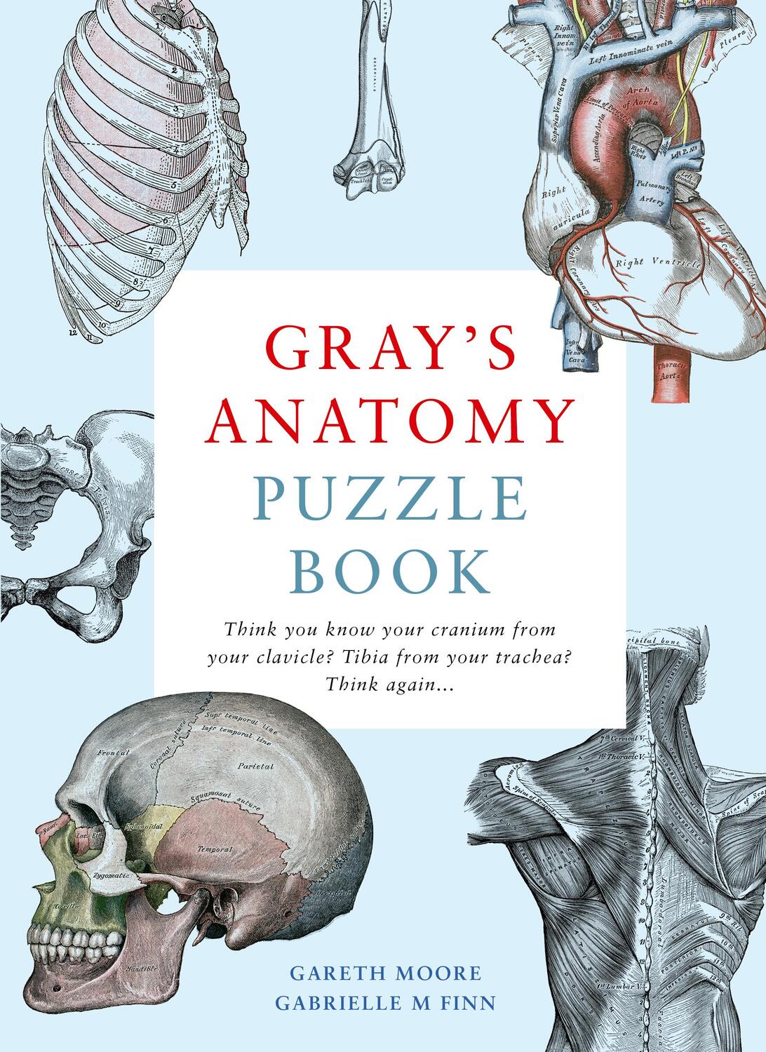 Cover: 9780711254411 | Gray's Anatomy Puzzle Book | Gareth Moore (u. a.) | Taschenbuch | 2020