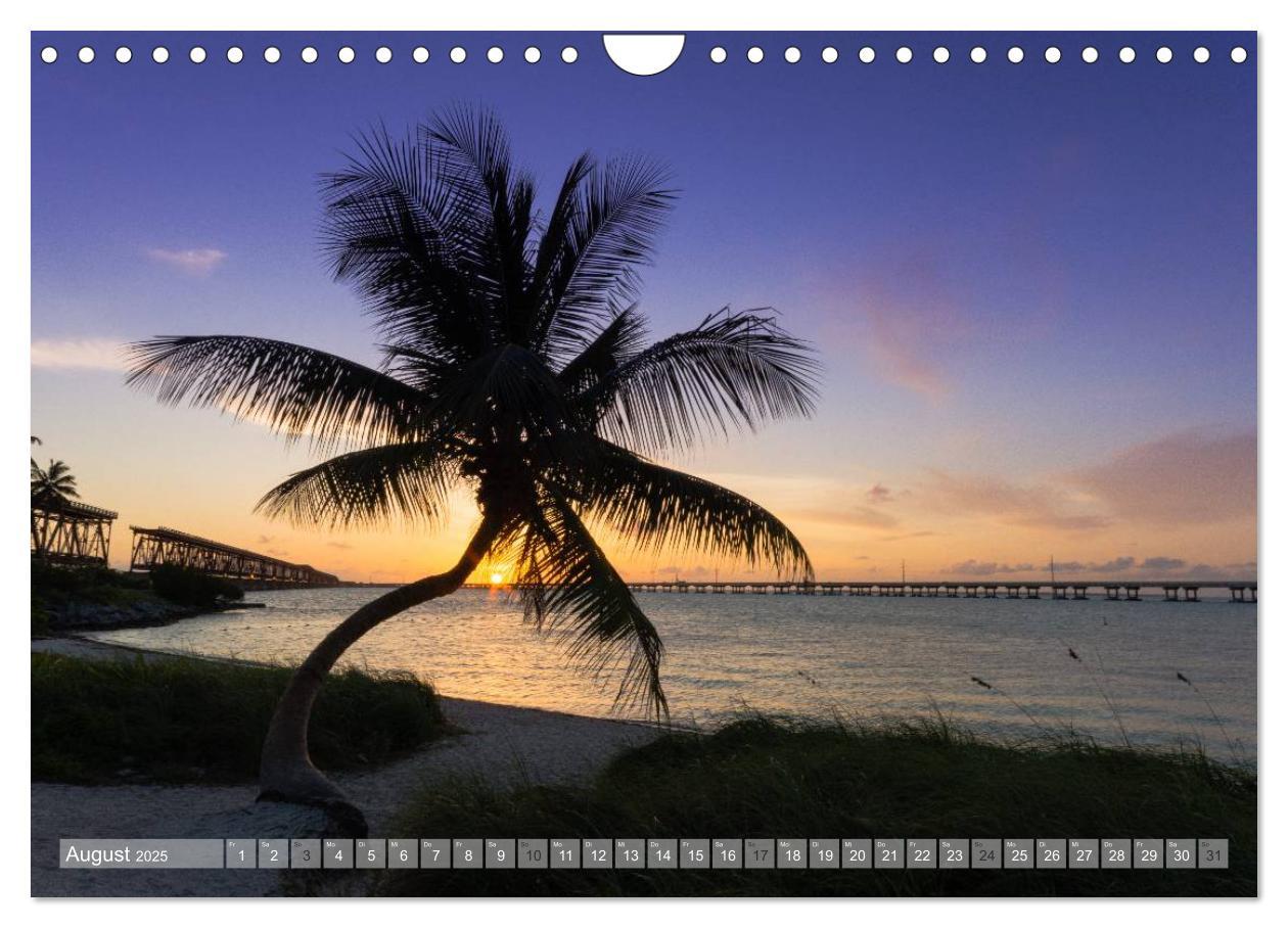 Bild: 9783435602612 | Florida. Sonne und Meer (Wandkalender 2025 DIN A4 quer), CALVENDO...