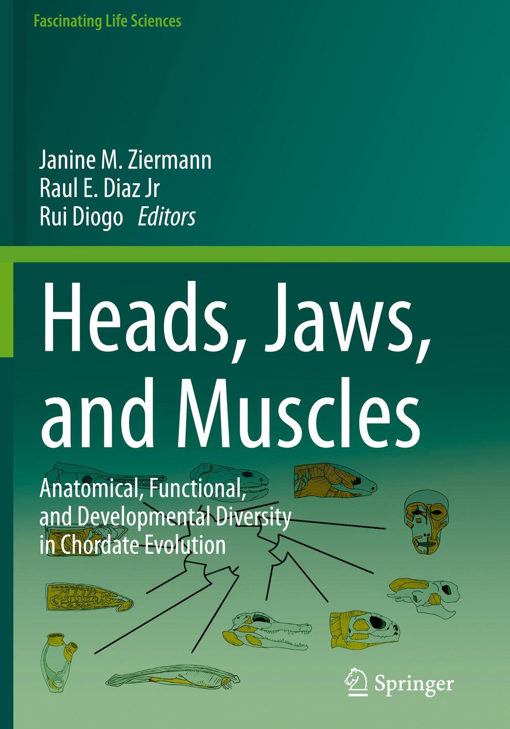 Cover: 9783319935591 | Heads, Jaws, and Muscles | Janine M. Ziermann (u. a.) | Buch | XIV