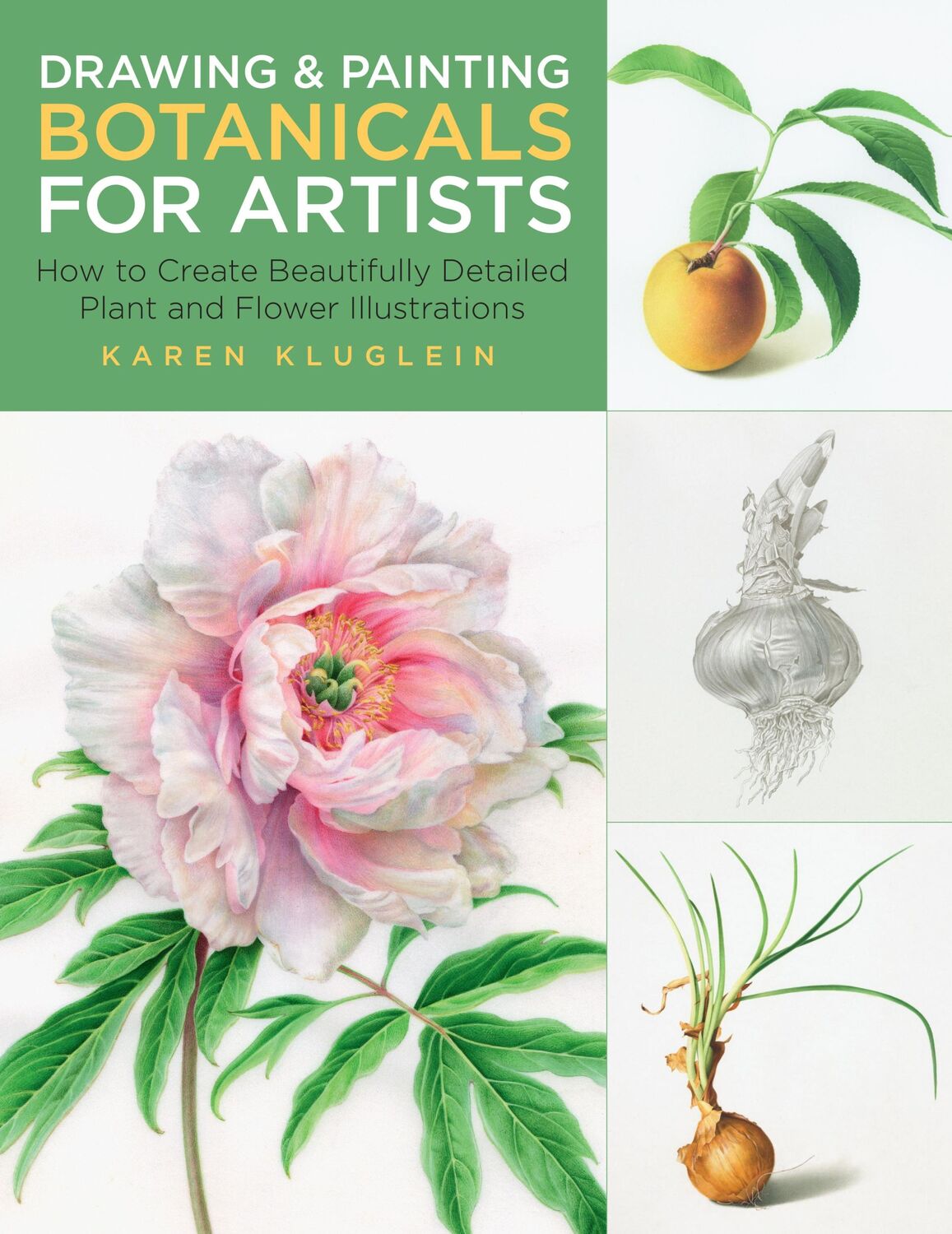 Cover: 9781631598579 | Drawing and Painting Botanicals for Artists | Karen Kluglein | Buch