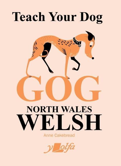 Cover: 9781800991828 | Teach Your Dog Gog: North Wales Welsh | Anne Cakebread | Taschenbuch