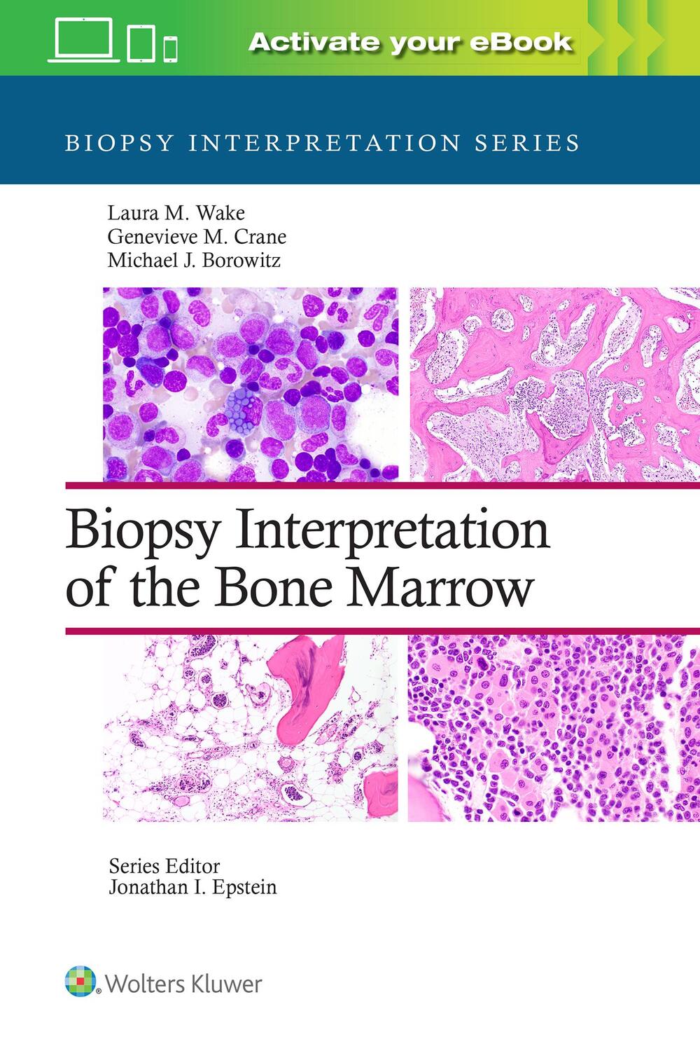 Cover: 9781496300591 | Biopsy Interpretation of the Bone Marrow | Laura M. Wake (u. a.)
