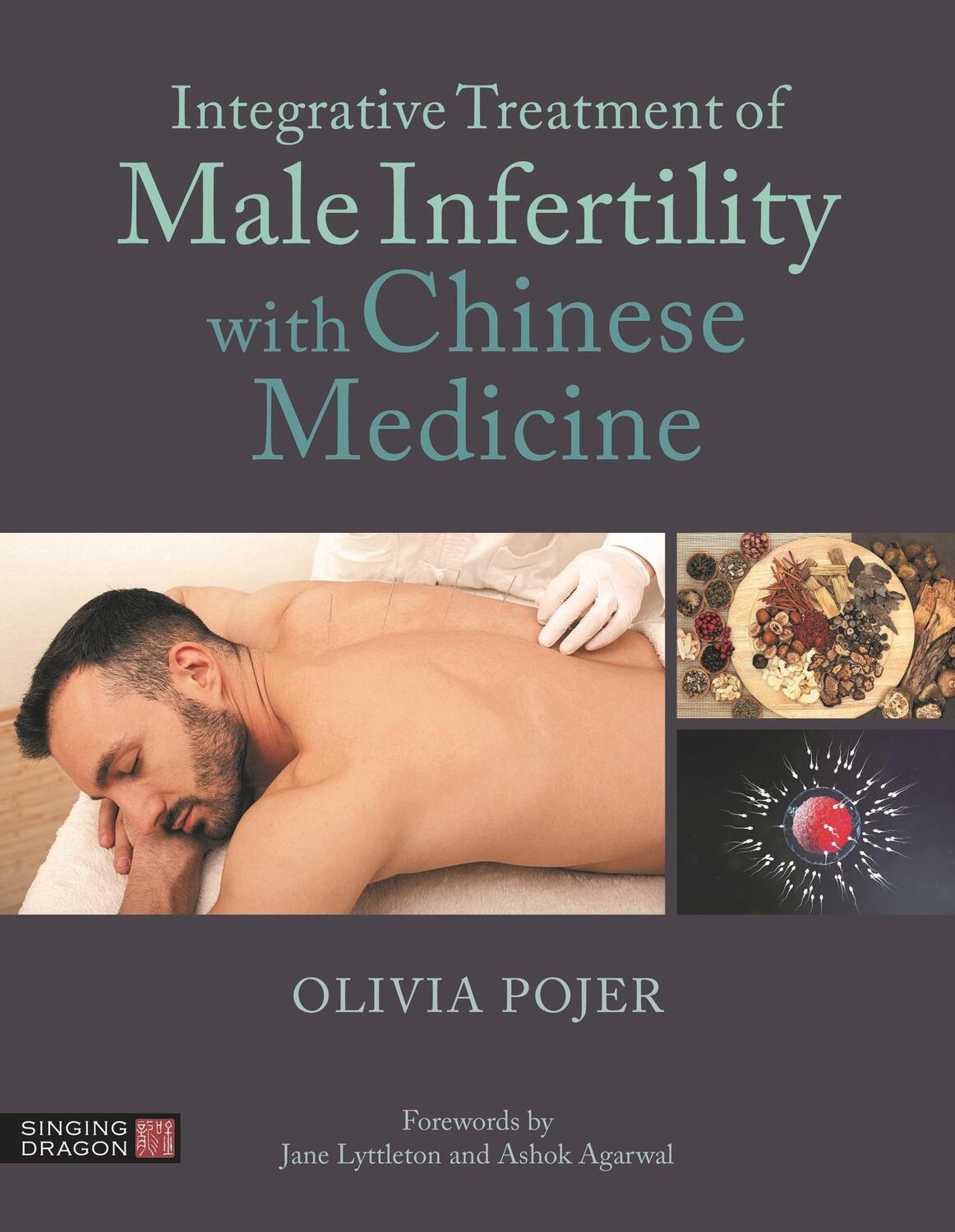 Cover: 9781787757325 | Integrative Treatment of Male Infertility with Chinese Medicine | Buch