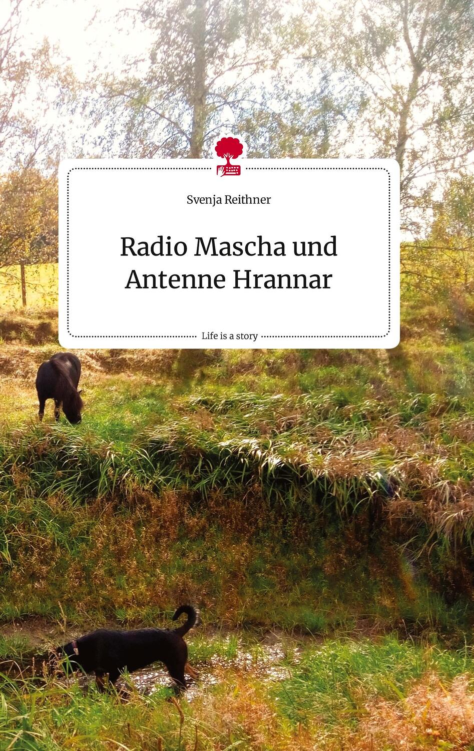 Cover: 9783710821646 | Radio Mascha und Antenne Hrannar. Life is a Story - story.one | Buch
