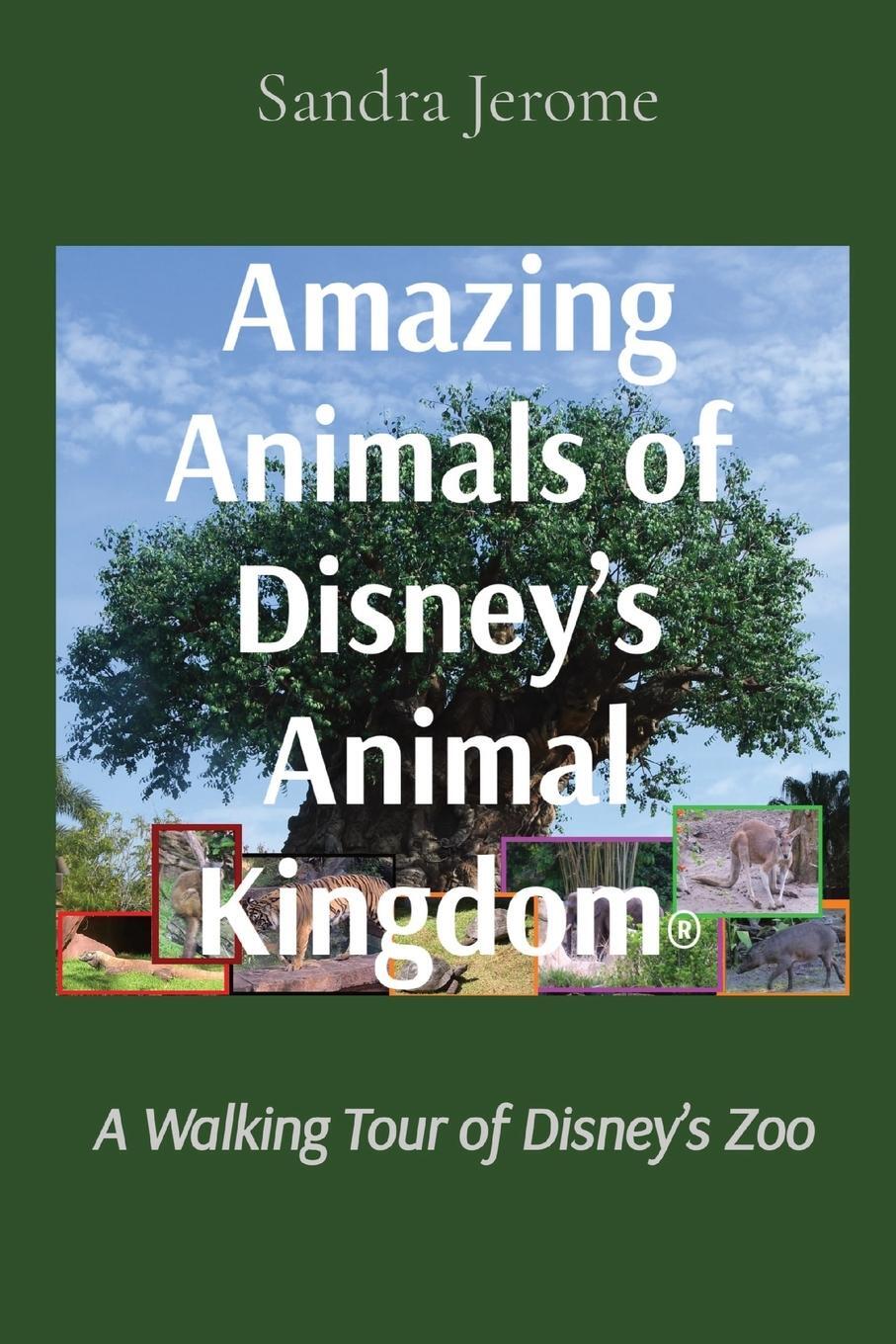 Cover: 9781736034842 | Amazing Animals of Disney's Animal Kingdom® | Sandra L Jerome | Buch