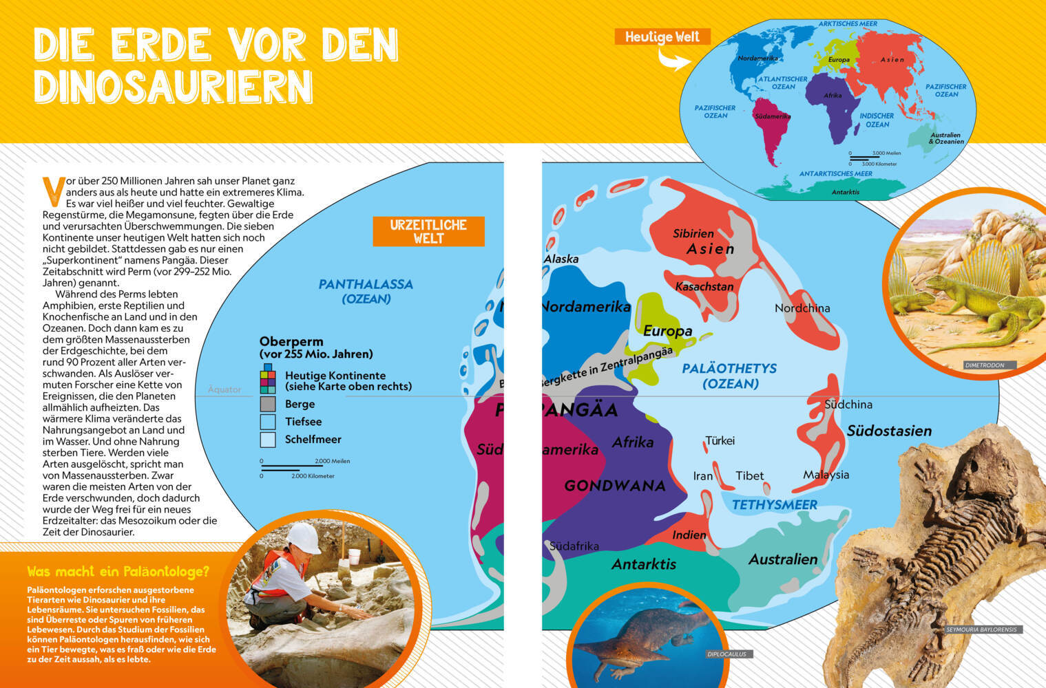 Bild: 9788863125450 | Dinosaurier-Atlas: Wo die Dinos lebten | National Geographic Kids